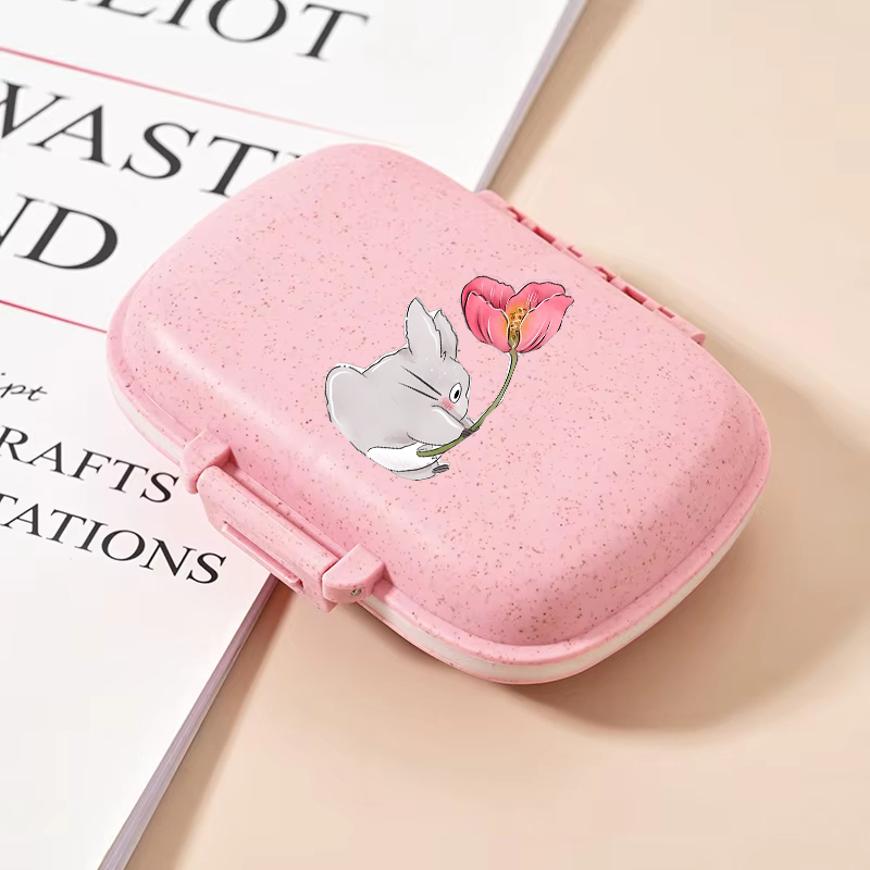 Totoro Mini Draagbare Pillendo - Cool Tablet Accessories recensie en prijs